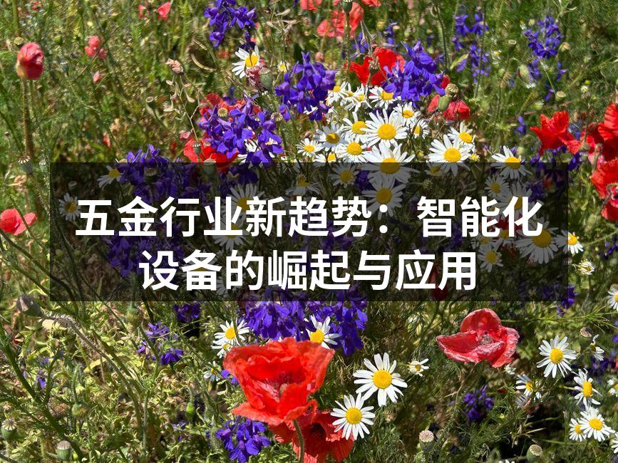 智能化设备提升生产效率